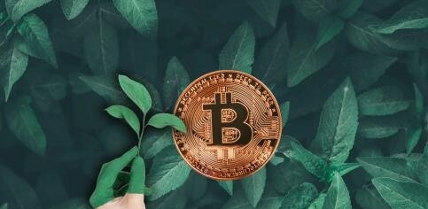 PCI幣有希望嗎？PCI幣現在多少錢一枚？