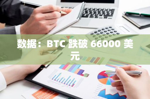 數據：BTC 跌破 66000 美元