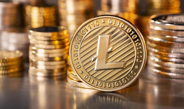 萊特幣是如何在交易平臺中運作的？萊特幣(LTC)交易平臺哪些好用？