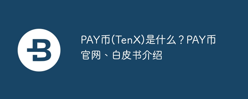 PAY幣(TenX)是什么？PAY幣官網(wǎng)、白皮書介紹