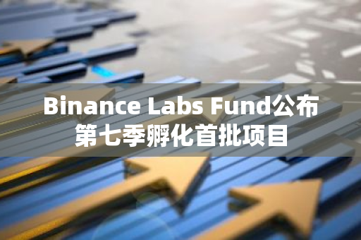 Binance Labs Fund公布第七季孵化首批項目