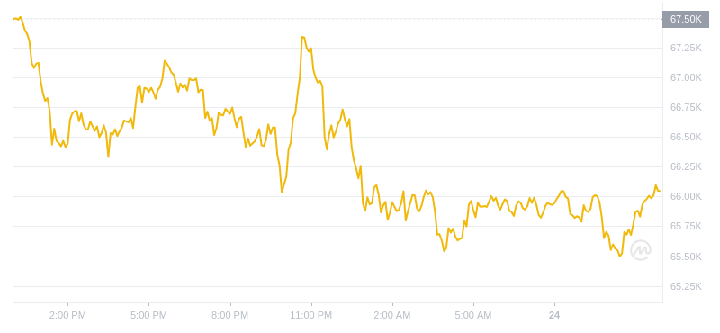 2024年07月24日比特幣價格