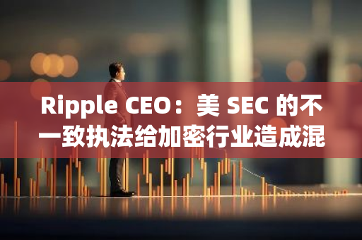 Ripple CEO：美 SEC 的不一致執法給加密行業造成混亂