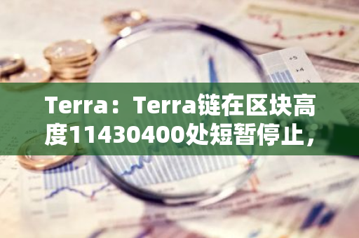 Terra：Terra鏈在區(qū)塊高度11430400處短暫停止，將與驗(yàn)證者合作修復(fù)可疑漏洞