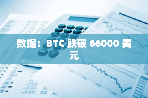 數(shù)據(jù)：BTC 跌破 66000 美元