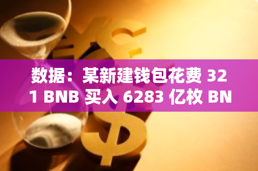 數據：某新建錢包花費 321 BNB 買入 6283 億枚 BNB Chain 上 Meme 幣 WHY