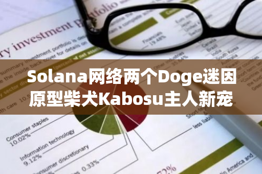 Solana網絡兩個Doge迷因原型柴犬Kabosu主人新寵物同名meme幣成交額突破4億美元