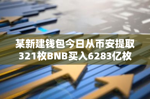 某新建錢包今日從幣安提取321枚BNB買入6283億枚BNB Chain上Meme幣WHY