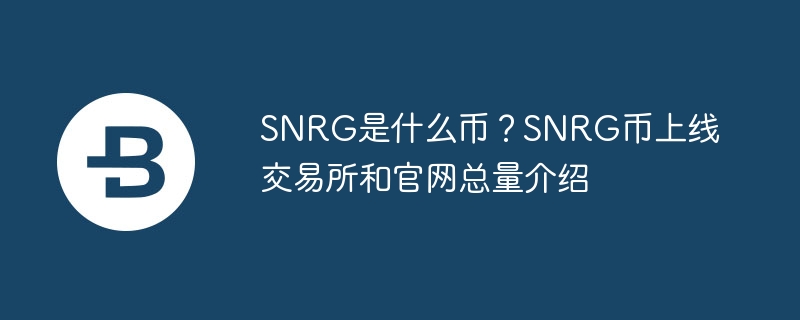 SNRG是什么幣？SNRG幣上線交易所和官網總量介紹