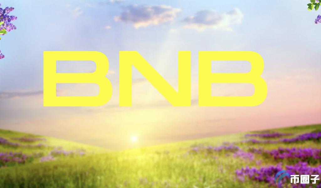 BIS發布加密貨幣交易所平臺幣報告！解釋影響BNB價格的因素