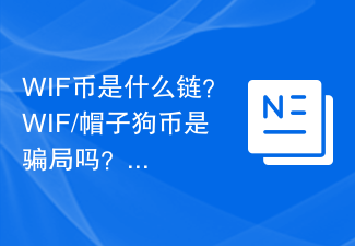 WIF幣是什么鏈？WIF/帽子狗幣是騙局嗎？