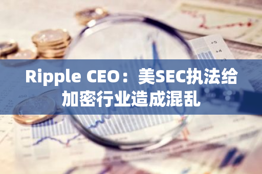 Ripple CEO：美SEC執(zhí)法給加密行業(yè)造成混亂