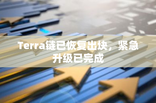Terra鏈已恢復出塊，緊急升級已完成