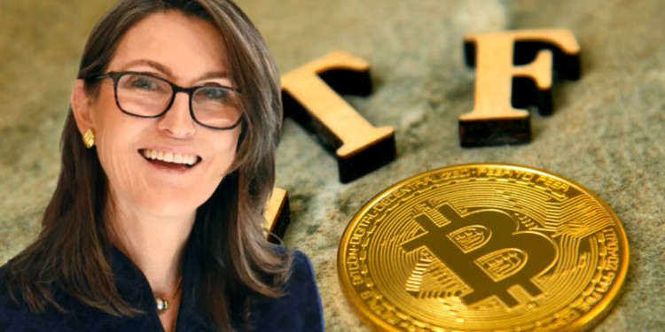 usdt怎么充錢(qián)步驟