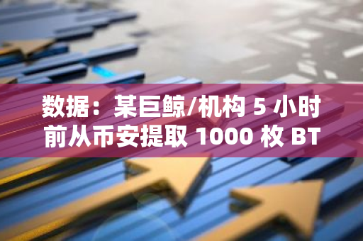 數據：某巨鯨/機構 5 小時前從幣安提取 1000 枚 BTC，約合 6944 萬美元