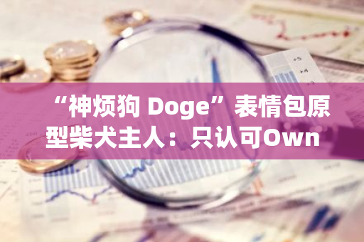 “神煩狗 Doge”表情包原型柴犬主人：只認可Own the Doge的DOG項目
