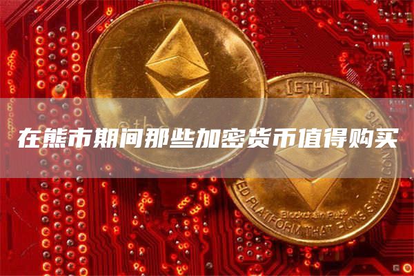 在熊市期間那些加密貨幣值得購買