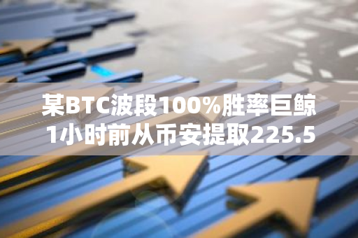 某BTC波段100%勝率巨鯨1小時前從幣安提取225.5枚比特幣