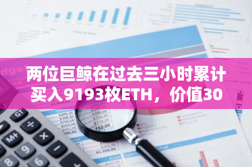 兩位巨鯨在過去三小時累計買入9193枚ETH，價值3018萬美金