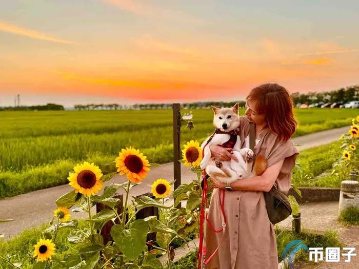 Solana再掀Meme熱潮！新狗狗幣Neiro引發加密貨幣內戰