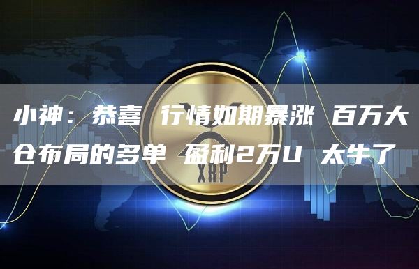 小神：恭喜 行情如期暴漲 百萬大倉布局的多單 盈利2萬U 太牛了