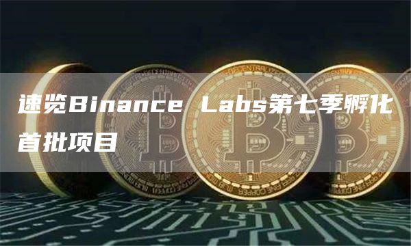 速覽Binance Labs第七季孵化首批項目