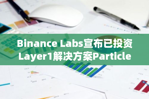 Binance Labs宣布已投資Layer1解決方案Particle Network