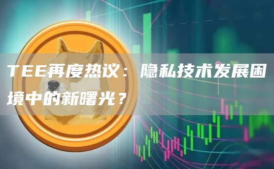 TEE再度熱議：隱私技術(shù)發(fā)展困境中的新曙光？