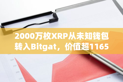 2000萬枚XRP從未知錢包轉(zhuǎn)入Bitgat，價值超1165萬美元
