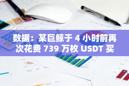 數(shù)據(jù)：某巨鯨于 4 小時(shí)前再次花費(fèi) 739 萬枚 USDT 買入 113 枚 BTC