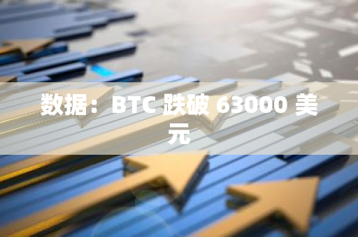 數據：BTC 跌破 63000 美元