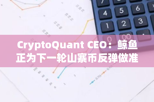 CryptoQuant CEO：鯨魚正為下一輪山寨幣反彈做準備，限價買入訂單量增加