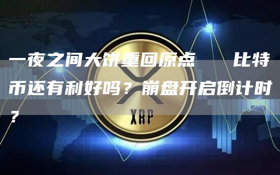 一夜之間大餅重回原點 比特幣還有利好嗎？崩盤開啟倒計時？