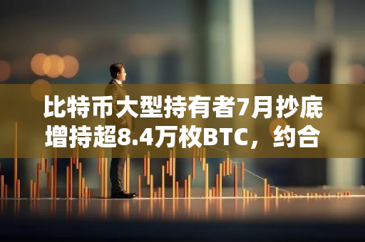 比特幣大型持有者7月抄底增持超8.4萬枚BTC，約合54億美元
