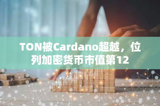 TON被Cardano超越，位列加密貨幣市值第12