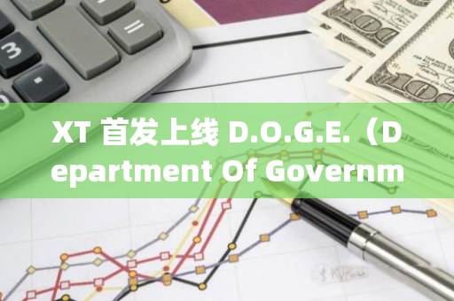 XT 首發上線 D.O.G.E.（Department Of Government Efficiency ）交易