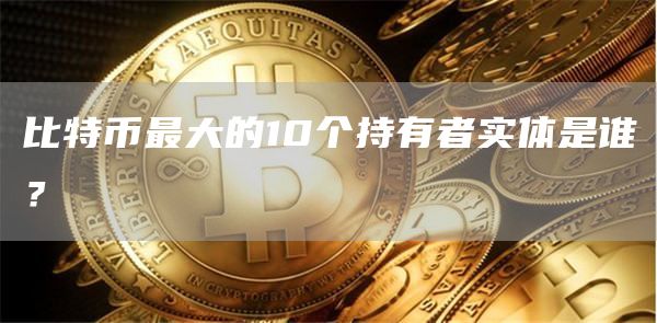 比特幣最大的10個持有者實體是誰？