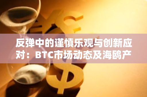 反彈中的謹慎樂觀與創新應對：BTC市場動態及海鷗產品重磅上線｜每周市場洞察回顧