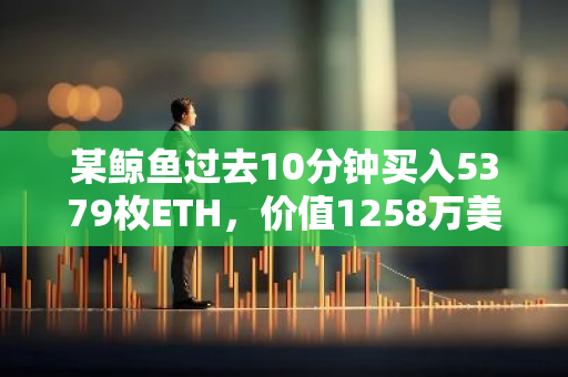 某鯨魚過去10分鐘買入5379枚ETH，價值1258萬美元