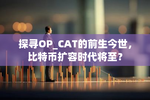 探尋OP_CAT的前生今世，比特幣擴容時代將至？