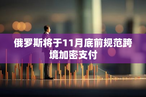 俄羅斯將于11月底前規(guī)范跨境加密支付