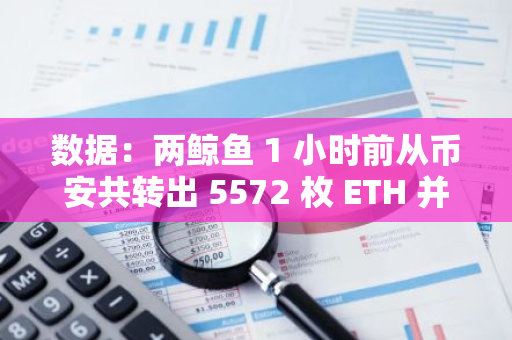 數據：兩鯨魚 1 小時前從幣安共轉出 5572 枚 ETH 并存入 Lido 質押