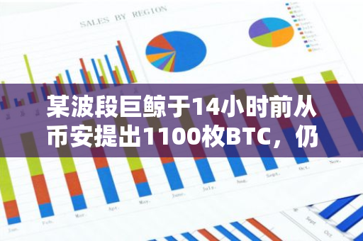 某波段巨鯨于14小時(shí)前從幣安提出1100枚BTC，仍持有價(jià)值2.27億美元的BTC