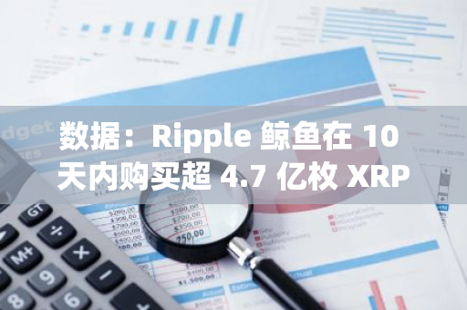 數(shù)據(jù)：Ripple 鯨魚在 10 天內(nèi)購買超 4.7 億枚 XRP