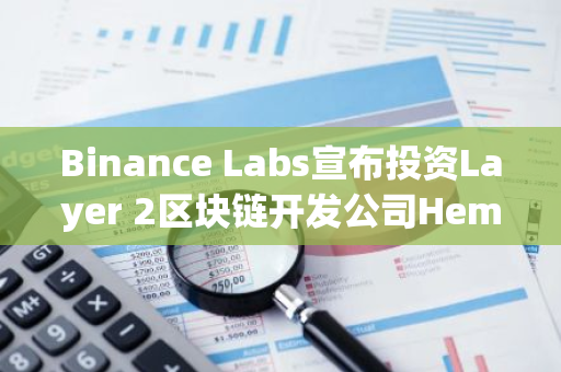 Binance Labs宣布投資Layer 2區(qū)塊鏈開發(fā)公司Hemi Labs