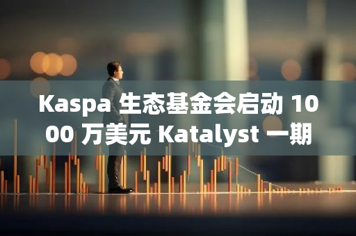 Kaspa 生態基金會啟動 1000 萬美元 Katalyst 一期生態發展計劃