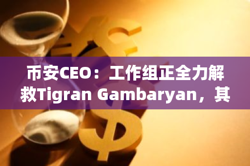 幣安CEO：工作組正全力解救Tigran Gambaryan，其健康狀況堪憂