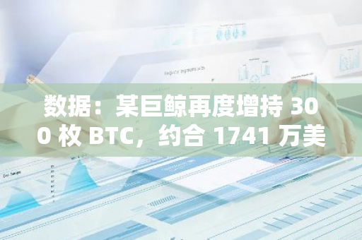 數據：某巨鯨再度增持 300 枚 BTC，約合 1741 萬美元