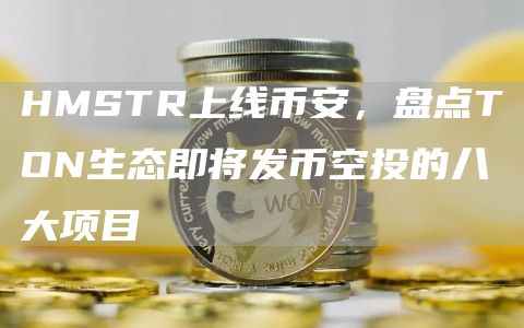 HMSTR上線幣安，盤點TON生態即將發幣空投的八大項目