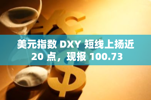美元指數(shù) DXY 短線上揚(yáng)近 20 點(diǎn)，現(xiàn)報(bào) 100.73